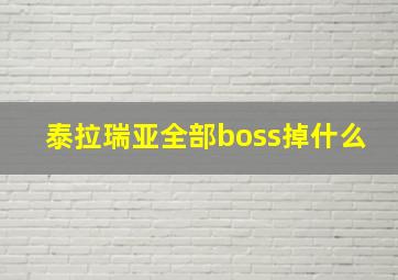 泰拉瑞亚全部boss掉什么