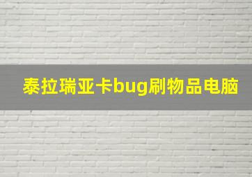 泰拉瑞亚卡bug刷物品电脑