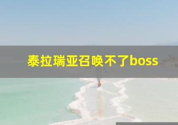 泰拉瑞亚召唤不了boss