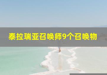 泰拉瑞亚召唤师9个召唤物