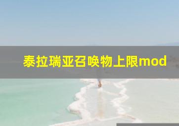 泰拉瑞亚召唤物上限mod