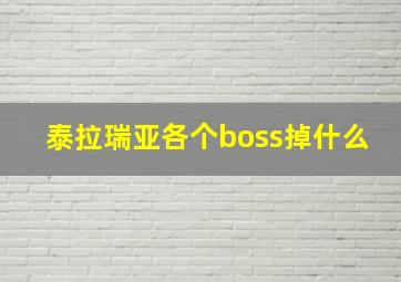 泰拉瑞亚各个boss掉什么