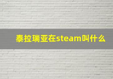 泰拉瑞亚在steam叫什么