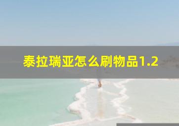 泰拉瑞亚怎么刷物品1.2