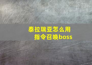 泰拉瑞亚怎么用指令召唤boss