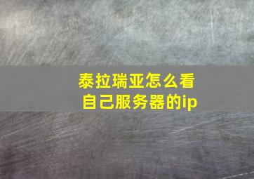 泰拉瑞亚怎么看自己服务器的ip