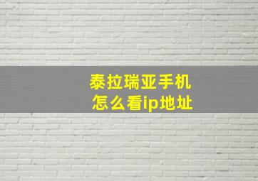 泰拉瑞亚手机怎么看ip地址