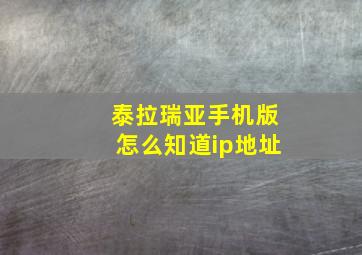 泰拉瑞亚手机版怎么知道ip地址