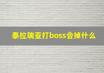 泰拉瑞亚打boss会掉什么