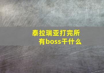 泰拉瑞亚打完所有boss干什么