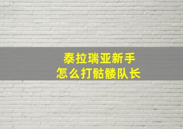 泰拉瑞亚新手怎么打骷髅队长