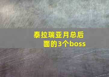 泰拉瑞亚月总后面的3个boss