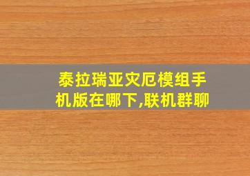 泰拉瑞亚灾厄模组手机版在哪下,联机群聊