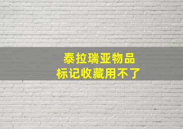 泰拉瑞亚物品标记收藏用不了