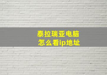 泰拉瑞亚电脑怎么看ip地址