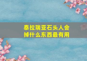 泰拉瑞亚石头人会掉什么东西最有用