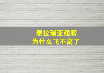 泰拉瑞亚翅膀为什么飞不高了