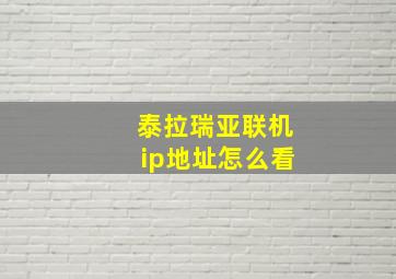 泰拉瑞亚联机ip地址怎么看