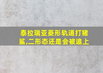 泰拉瑞亚菱形轨道打猪鲨,二形态还是会被追上