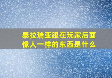 泰拉瑞亚跟在玩家后面像人一样的东西是什么