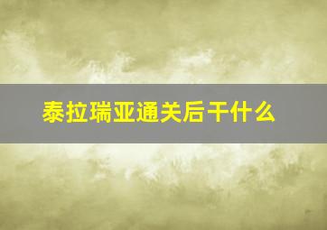 泰拉瑞亚通关后干什么