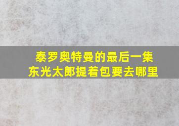 泰罗奥特曼的最后一集东光太郎提着包要去哪里