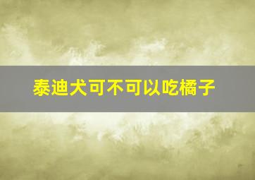 泰迪犬可不可以吃橘子