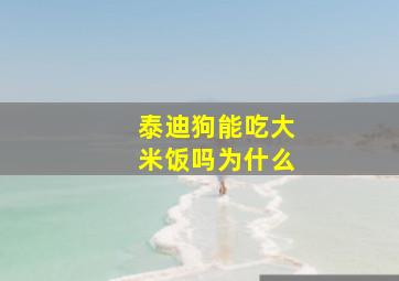 泰迪狗能吃大米饭吗为什么