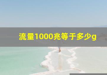 流量1000兆等于多少g