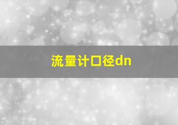 流量计口径dn