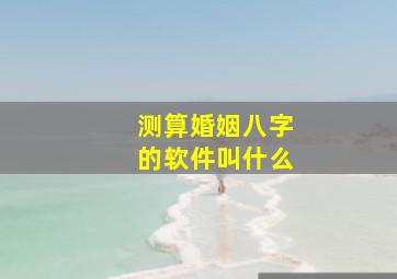 测算婚姻八字的软件叫什么