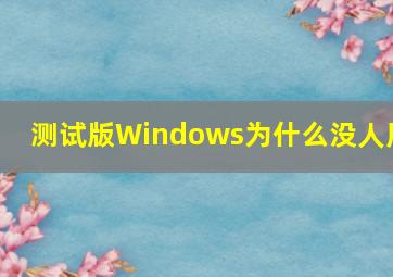 测试版Windows为什么没人用