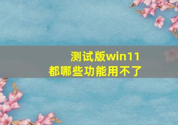 测试版win11都哪些功能用不了