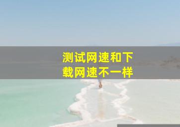 测试网速和下载网速不一样