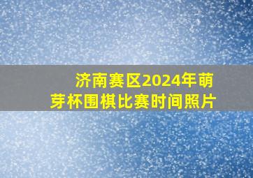 济南赛区2024年萌芽杯围棋比赛时间照片