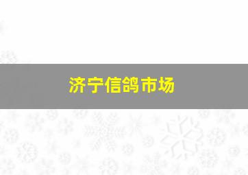 济宁信鸽市场