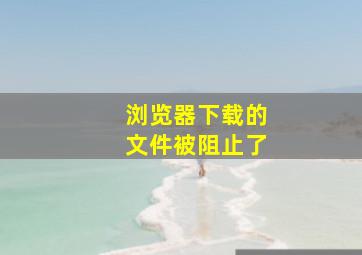 浏览器下载的文件被阻止了