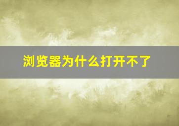 浏览器为什么打开不了