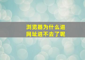 浏览器为什么进网址进不去了呢