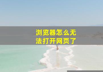 浏览器怎么无法打开网页了