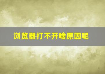 浏览器打不开啥原因呢