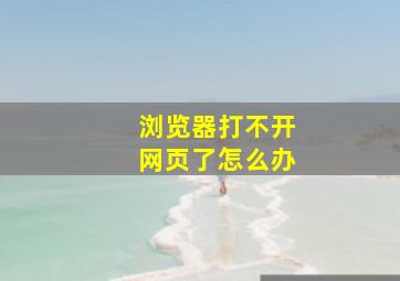 浏览器打不开网页了怎么办