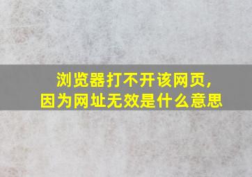 浏览器打不开该网页,因为网址无效是什么意思