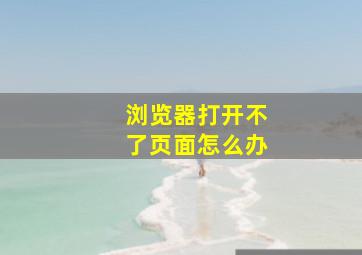 浏览器打开不了页面怎么办