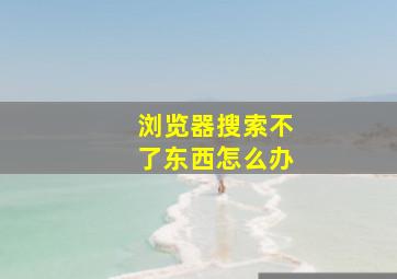 浏览器搜索不了东西怎么办