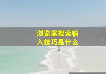 浏览器搜索输入技巧是什么