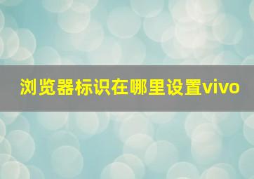 浏览器标识在哪里设置vivo