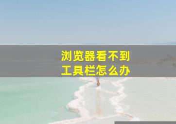 浏览器看不到工具栏怎么办