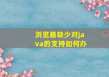 浏览器缺少对java的支持如何办