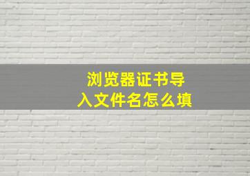 浏览器证书导入文件名怎么填